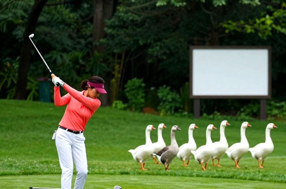 कैमरन यंग का 2026 का इरादा-पत्र और LIV Golf की दिवालिया फाइलिंग: असली खबर दस्तावेज़ में है, खिलाड़ी में नहीं